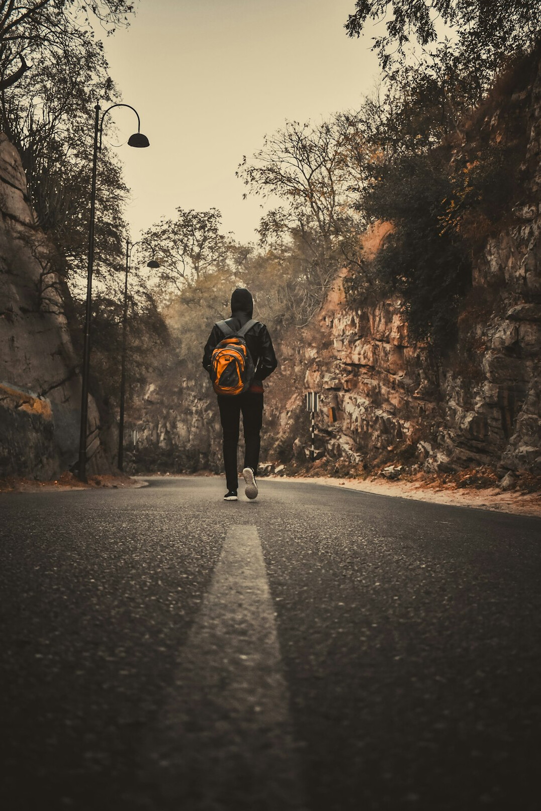 person walking on path to growth