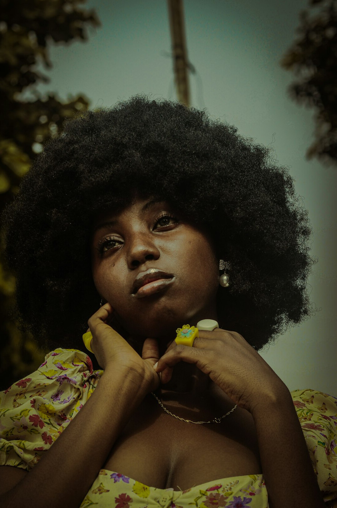 Portrait of an Afro-Brazilian woman